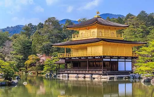 Day 11: Arashiyama Bamboo Forest