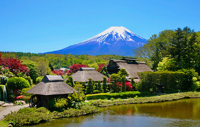 Day 12: Mt Fuji - Tokyo