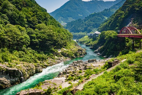 Japan Explorer