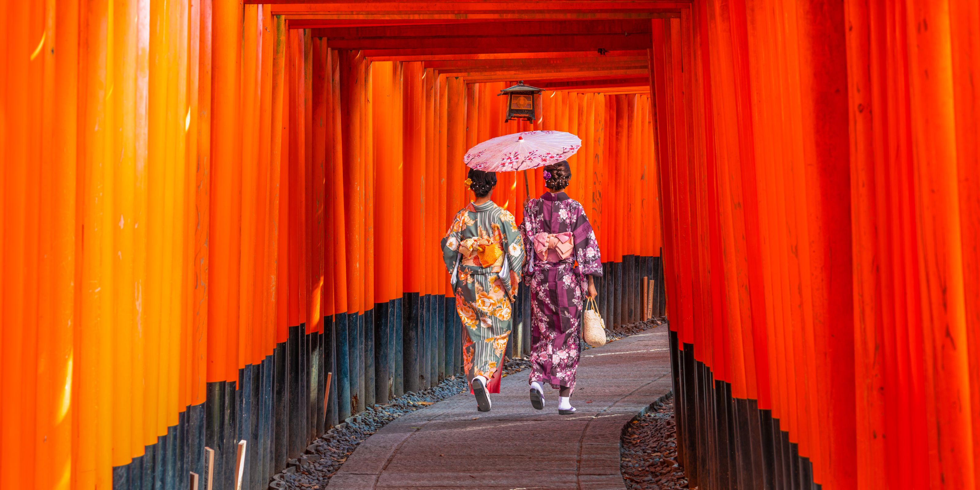 New Japan 2026-28 Brochure Sale