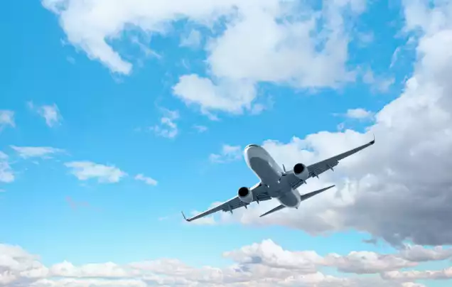 Days 17-18: Fly Home