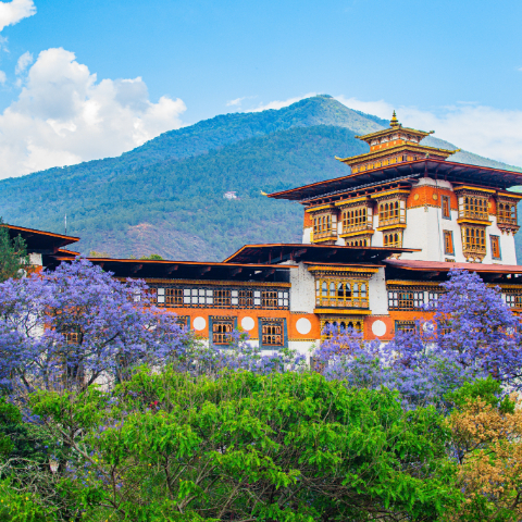 Punakha Dzong