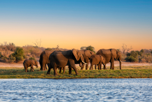 Wonders of Botswana & Zimbabwe 