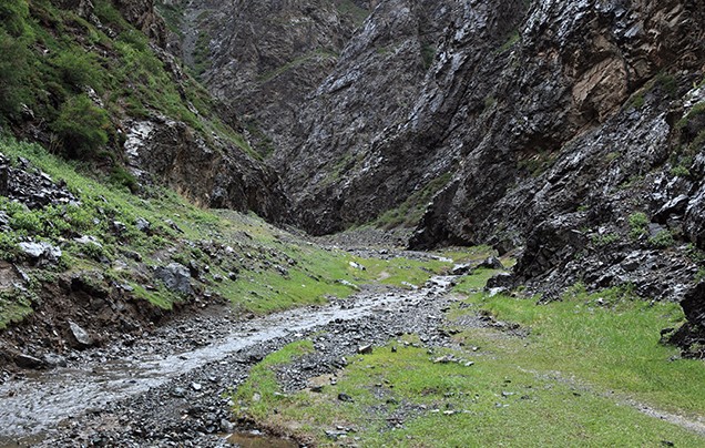 Day 3: Bayanzag to Yolyn Am