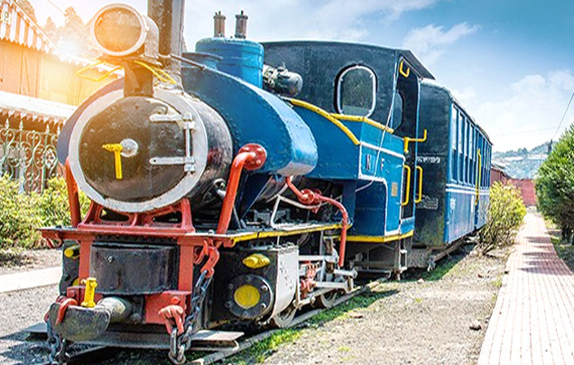 DAY 6: Explore Darjeeling