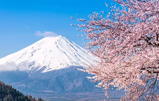 Tour image