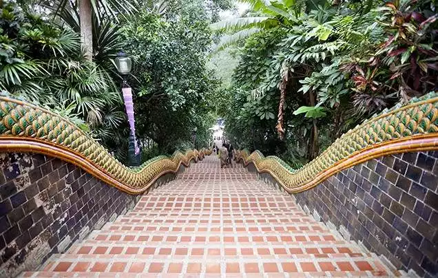 DAY 5: Explore Chiang Mai