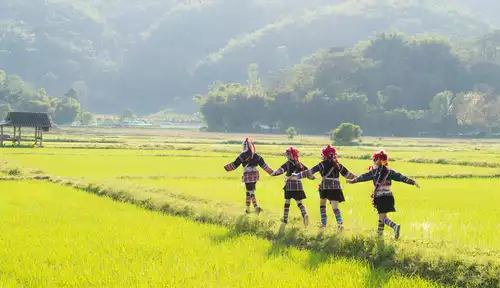 DAY 6: Meditation & H'Mong Hilltribe