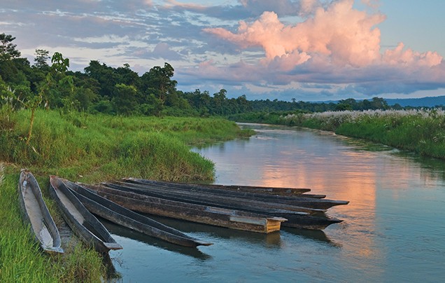 DAY 1: KATHMANDU TO CHITWAN NATIONAL PARK