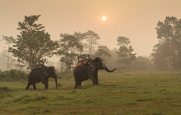 DAY 3: CHITWAN NATIONAL PARK TO KATHMANDU