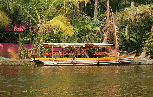 Day 4: Thekkady to Nedumudy
