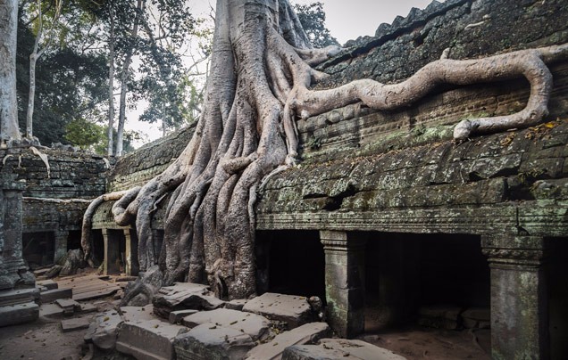 DAY 19: Tonle Sap Lake