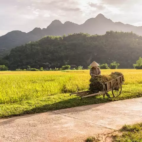 Mai Chau