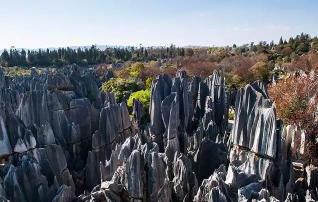Day 11: The Stone Forest