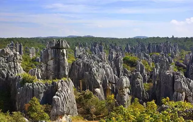 Day 16: Stone Forest