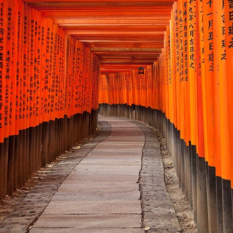 Fushimi Inari Shrine