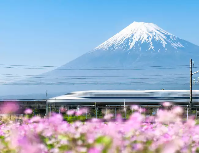 Save up to $2,000 per person