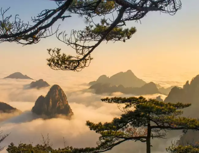 Save up to $1000 per person