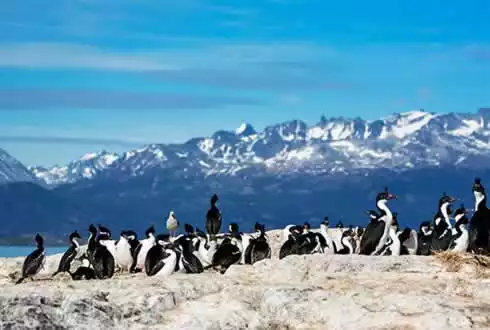 Beagle Channel