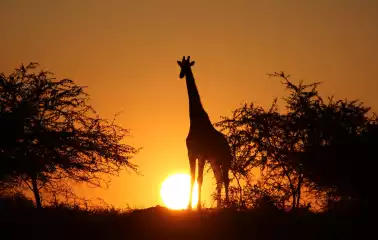Save up to $1,000pp Save up to $1,000pp