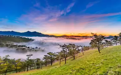 100% No Surcharge Promise