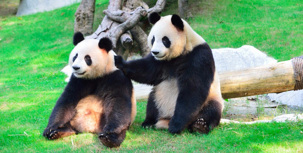 Exclusive Collection | Luxury Group Tours | Wendy Wu Tours