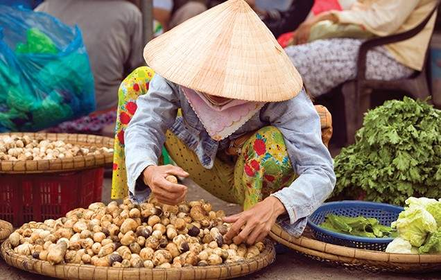 DAY 16: Mekong Delta