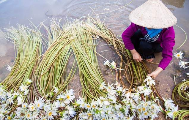 DAY 10: Farmer and Fisherman Experience