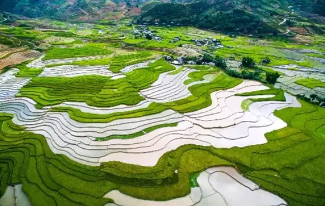 DAY 6: Trekking the Terraces