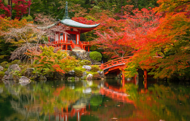 Day 11: Cruise - Kyoto